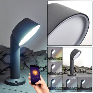 Moroni Padverlichting LED Antraciet, 1-licht