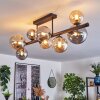 Chehalis Plafondlamp, Kogellampje Amber, Rookkleurig, 8-lichts