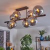 Gastor Plafondlamp, Kogellampje Rookkleurig, 8-lichts