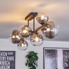 Chehalis Plafondlamp, Kogellampje Duidelijk, Rookkleurig, 8-lichts