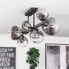 Chehalis Plafondlamp, Kogellampje Duidelijk, Rookkleurig, 8-lichts