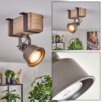 Pehefito Plafondlamp, Plafondspot Grijs, Natuurlijke kleuren, 1-licht