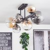 Chehalis Plafondlamp, Kogellampje Amber, Duidelijk, Rookkleurig, 8-lichts