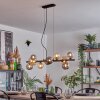 Chehalis Hanglamp, Kogellampje, Hanglamp Amber, Rookkleurig, 10-lichts