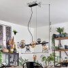 Chehalis Hanglamp, Kogellampje, Hanglamp Amber, Rookkleurig, 8-lichts