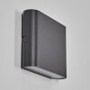 Gamas Wandlamp voor buiten, Badkamerlamp, Licht omhoog & omlaag, Wandlamp LED Antraciet, 1-licht