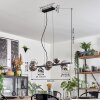 Chehalis Hanglamp, Kogellampje, Hanglamp Chroom, Duidelijk, Rookkleurig, 8-lichts