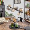 Chehalis Hanglamp, Kogellampje, Hanglamp Amber, Duidelijk, Rookkleurig, 10-lichts