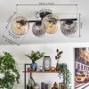 Gastor Plafondlamp, Kogellampje Amber, Duidelijk, Rookkleurig, 4-lichts