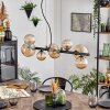 Chehalis Hanglamp, Kogellampje, Hanglamp Amber, 8-lichts