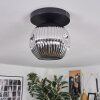 Ripoll Plafondlamp, Kogellampje Chroom, Rookkleurig, 1-licht