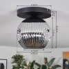 Ripoll Plafondlamp, Kogellampje Chroom, Rookkleurig, 1-licht
