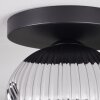 Ripoll Plafondlamp, Kogellampje Chroom, Rookkleurig, 1-licht