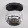 Ripoll Plafondlamp, Kogellampje Chroom, Rookkleurig, 1-licht