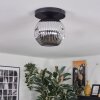 Ripoll Plafondlamp, Kogellampje Chroom, Rookkleurig, 1-licht