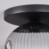Ripoll Plafondlamp, Kogellampje Rookkleurig, 1-licht