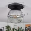 Ripoll Plafondlamp, Kogellampje Rookkleurig, 1-licht