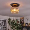 Ripoll Plafondlamp, Kogellampje Rookkleurig, 1-licht