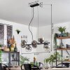Gastor Hanglamp, Kogellampje, Hanglamp Duidelijk, Rookkleurig, 8-lichts