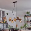 Gastor Hanglamp, Kogellampje, Hanglamp Amber, Duidelijk, Rookkleurig, 8-lichts