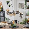 Gastor Hanglamp, Kogellampje, Hanglamp Amber, Duidelijk, Rookkleurig, 8-lichts