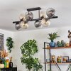 Koyoto Plafondlamp, Kogellampje Amber, Duidelijk, Rookkleurig, 8-lichts