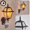 Fornelos Buitenlicht, Wandlamp voor buiten, Wandlamp Zwart, 1-licht, Bewegingsmelder