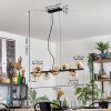 Chehalis Hanglamp, Kogellampje, Hanglamp Amber, Duidelijk, 10-lichts