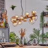 Chehalis Hanglamp, Kogellampje, Hanglamp Amber, Duidelijk, 10-lichts