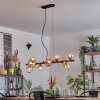 Chehalis Hanglamp, Kogellampje, Hanglamp Amber, Duidelijk, 10-lichts