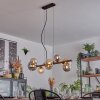 Chehalis Hanglamp, Kogellampje, Hanglamp Amber, Rookkleurig, 8-lichts