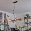 Chehalis Hanglamp, Kogellampje, Hanglamp Amber, Duidelijk, Rookkleurig, 8-lichts