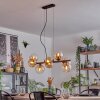 Koyoto Hanglamp, Kogellampje, Hanglamp Amber, Duidelijk, 8-lichts