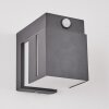 Swanek Wandlamp voor buiten, Wandlamp LED Antraciet, 1-licht, Bewegingsmelder