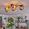 Gastor Plafondlamp, Kogellampje Amber, Duidelijk, Rookkleurig, 5-lichts