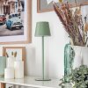Allen Buiten tafellamp, Tafellamp LED Groen, 1-licht
