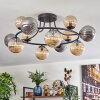 Chehalis Plafondlamp, Kogellampje Amber, Rookkleurig, 12-lichts