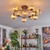 Chehalis Plafondlamp, Kogellampje Amber, 12-lichts