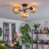 Koyoto Plafondlamp, Kogellampje Amber, 3-lichts