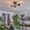 Gastor Plafondlamp, Kogellampje Duidelijk, 3-lichts