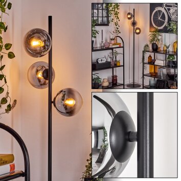 Gastor Staande lamp Chroom, Duidelijk, Rookkleurig, 3-lichts