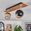 Haldor Plafondlamp, Plafondspot Bruin, Chroom, Zwart, 2-lichts