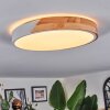 Cadaixo Plafondlamp, Paneel LED Wit, 1-licht