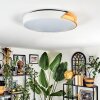 Cadaixo Plafondlamp, Paneel LED Wit, 1-licht