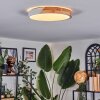 Cadaixo Plafondlamp, Paneel LED Wit, 1-licht