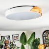 Cadaixo Plafondlamp, Paneel LED Wit, 1-licht