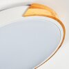 Cadaixo Plafondlamp, Paneel LED Wit, 1-licht