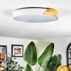 Cadaixo Plafondlamp, Paneel LED Wit, 1-licht