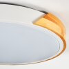 Cadaixo Plafondlamp, Paneel LED Wit, 1-licht