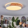 Cadaixo Plafondlamp, Paneel LED Wit, 1-licht